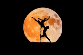 gallery/logo dança